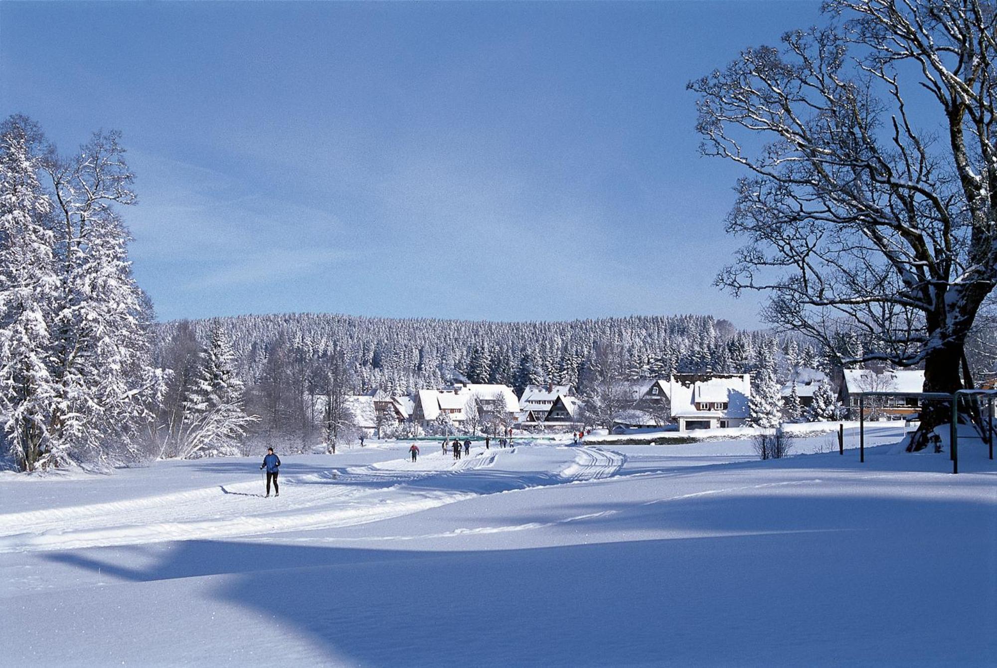 Drei Tannen - Wohnung 09 - Apartmenthaus, Titisee, Feldberg Extérieur photo